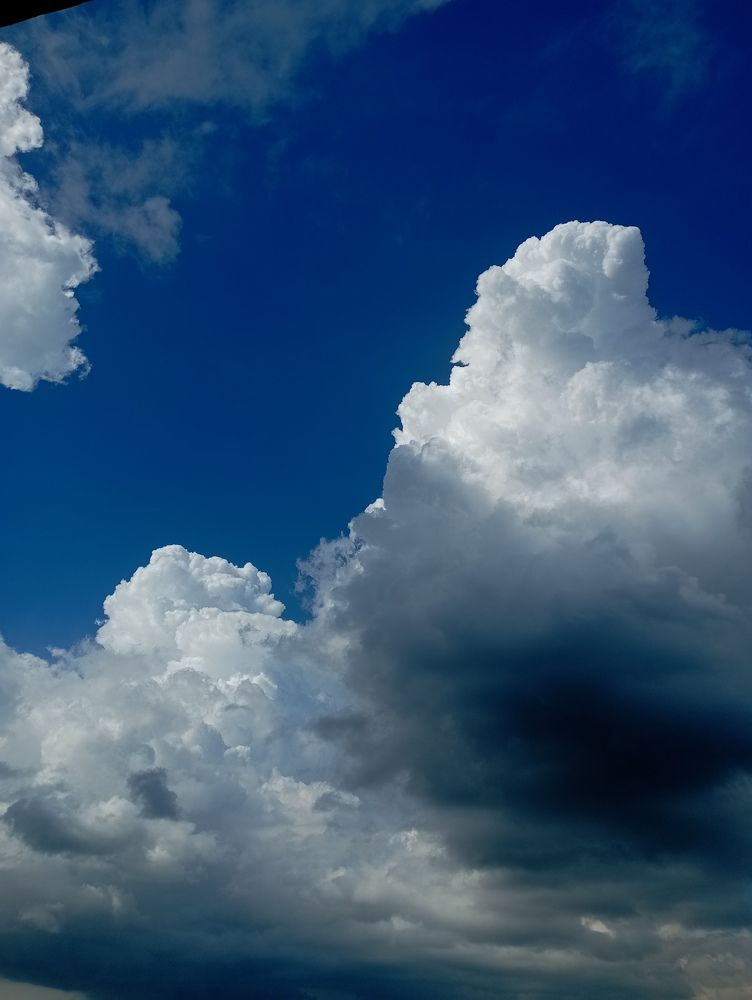 Photo #8965314