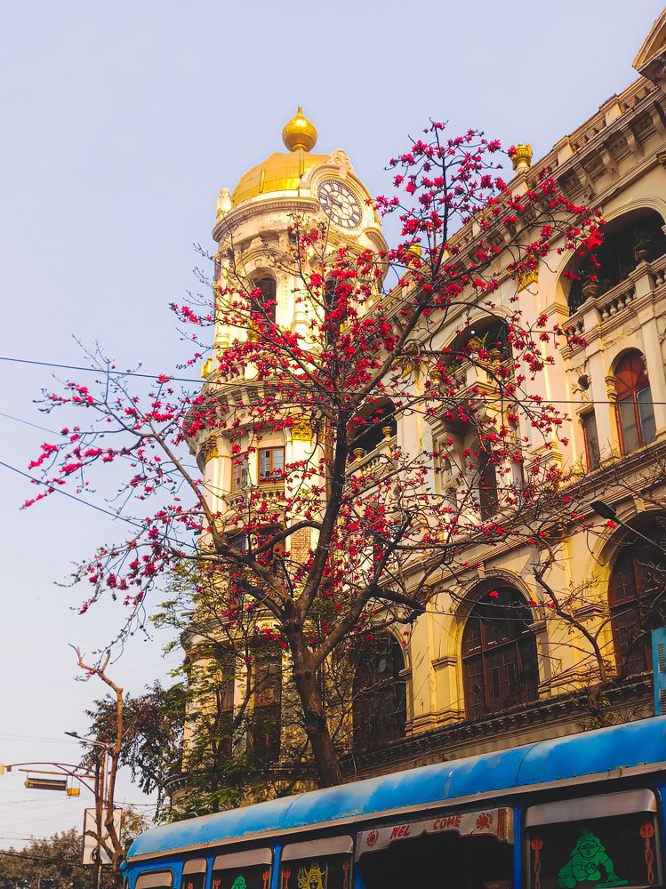Photograph by Swadesh Manna