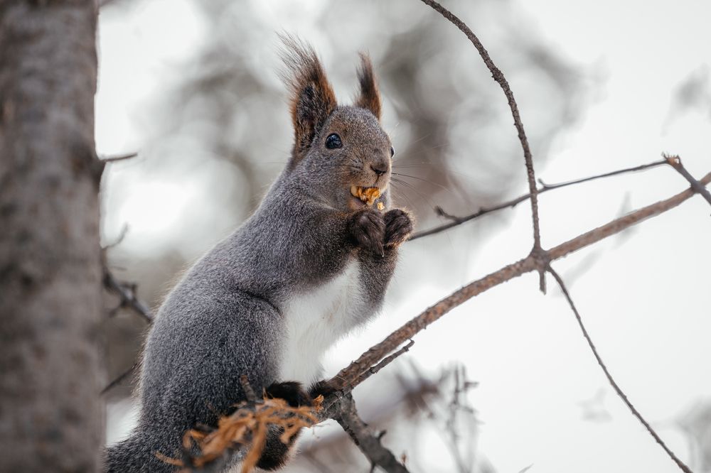 Photograph by Корчагина Оксана
