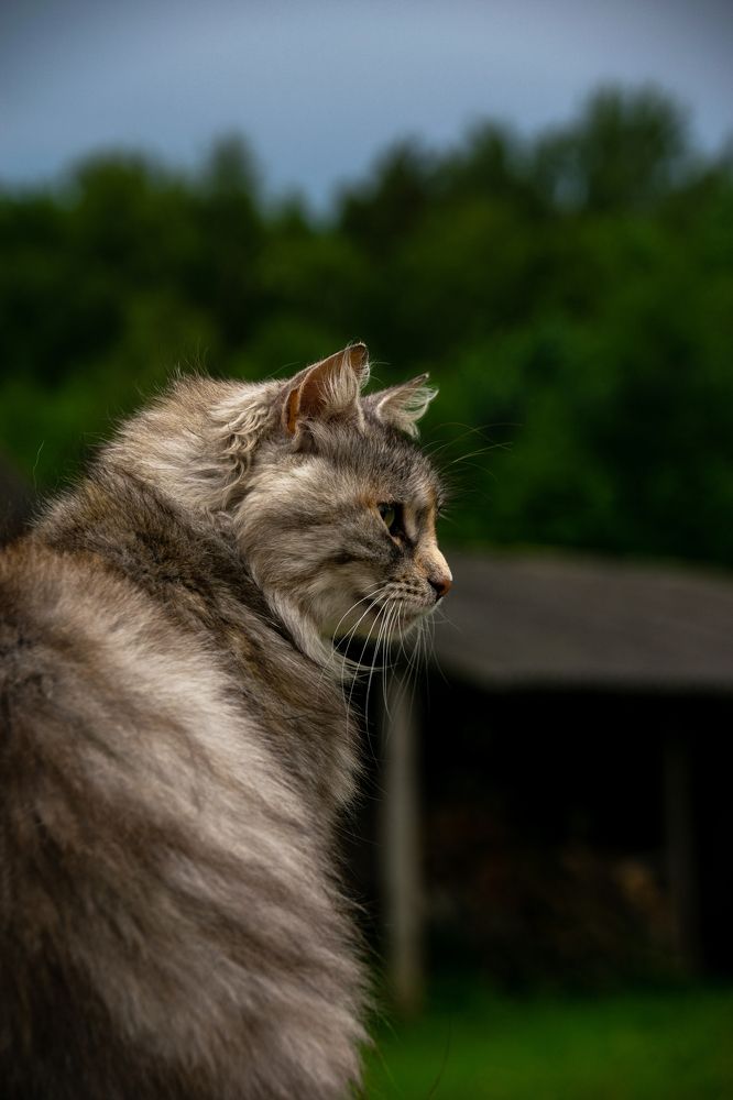 Photograph by Daniil Boronenko