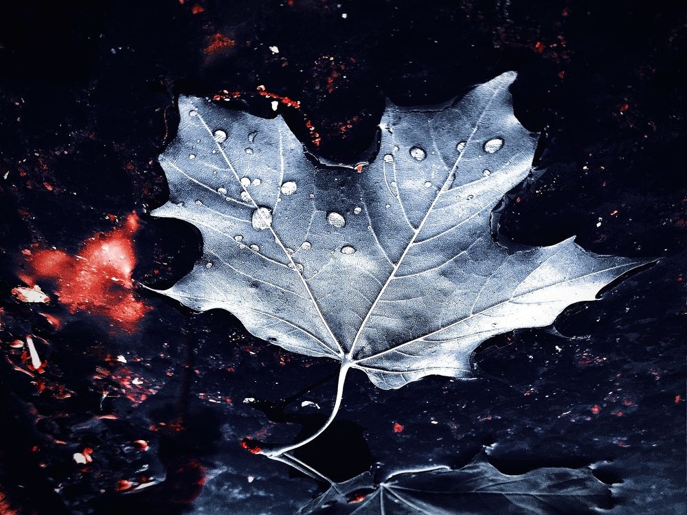 Photograph by Марина Хохрякова