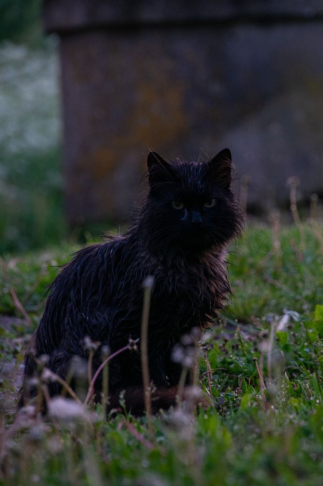 Photograph by Daniil Boronenko