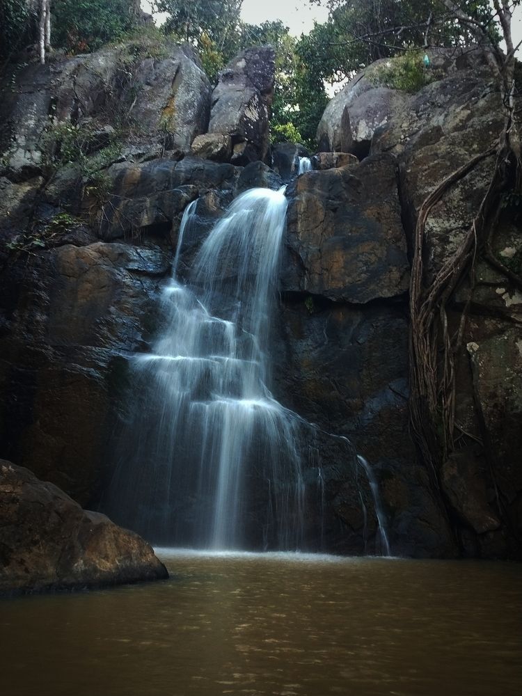 Фотография автора Siddhartha Ranjan Pradhan