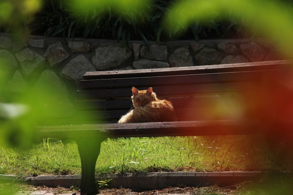 Photograph by Алексей Михайлов