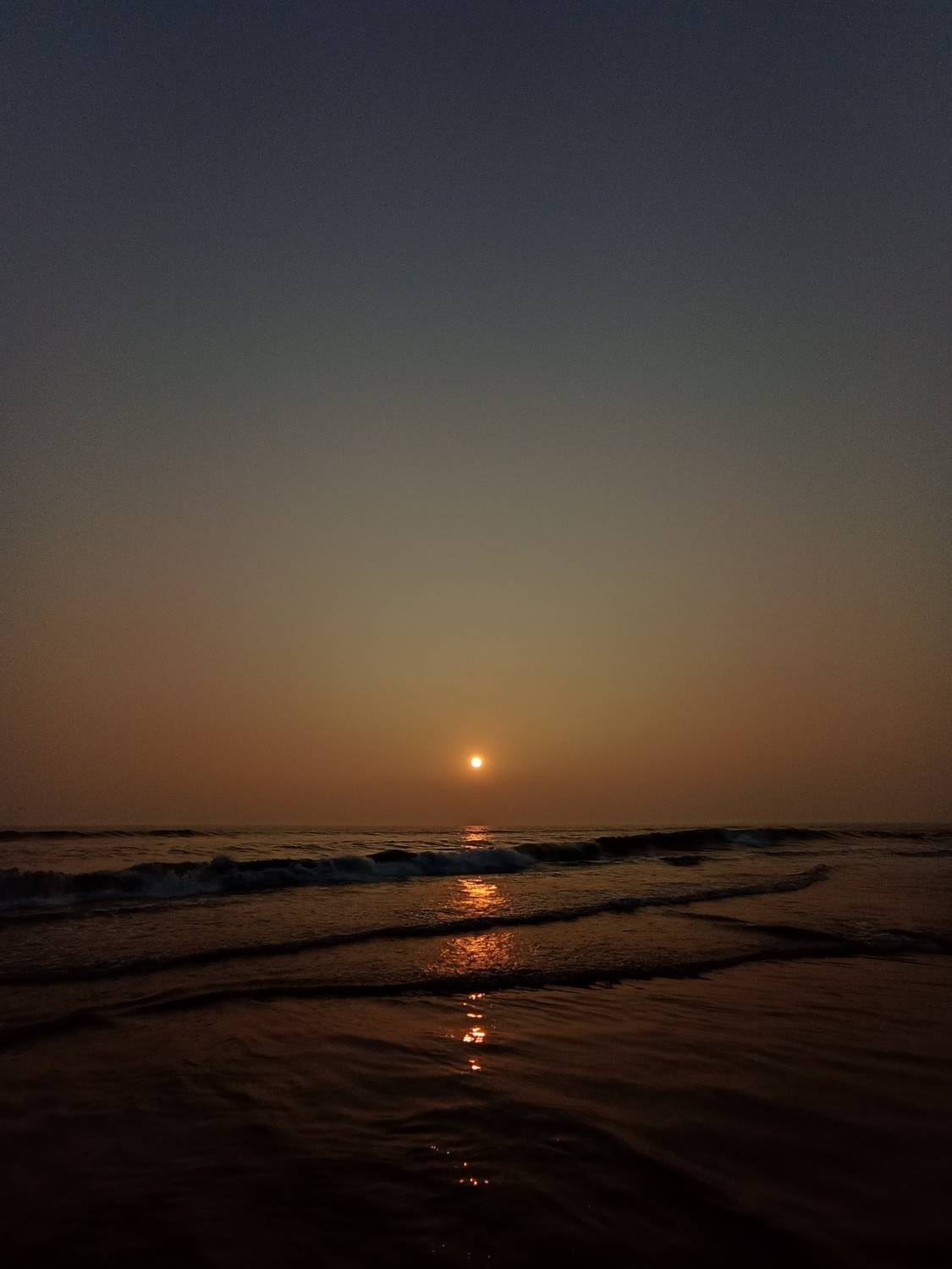 Photo #8965461