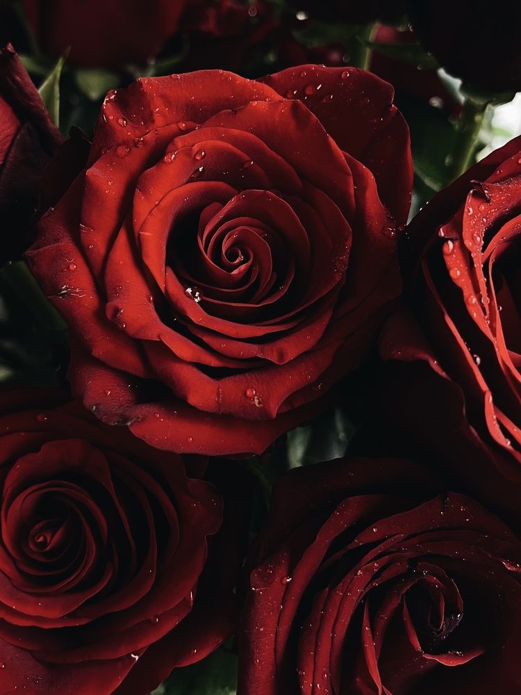 Photograph by Мария Боевая