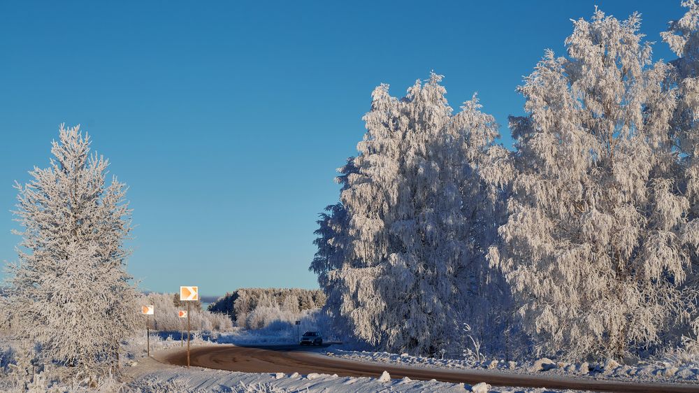 Photograph by Lisauskas Ilya