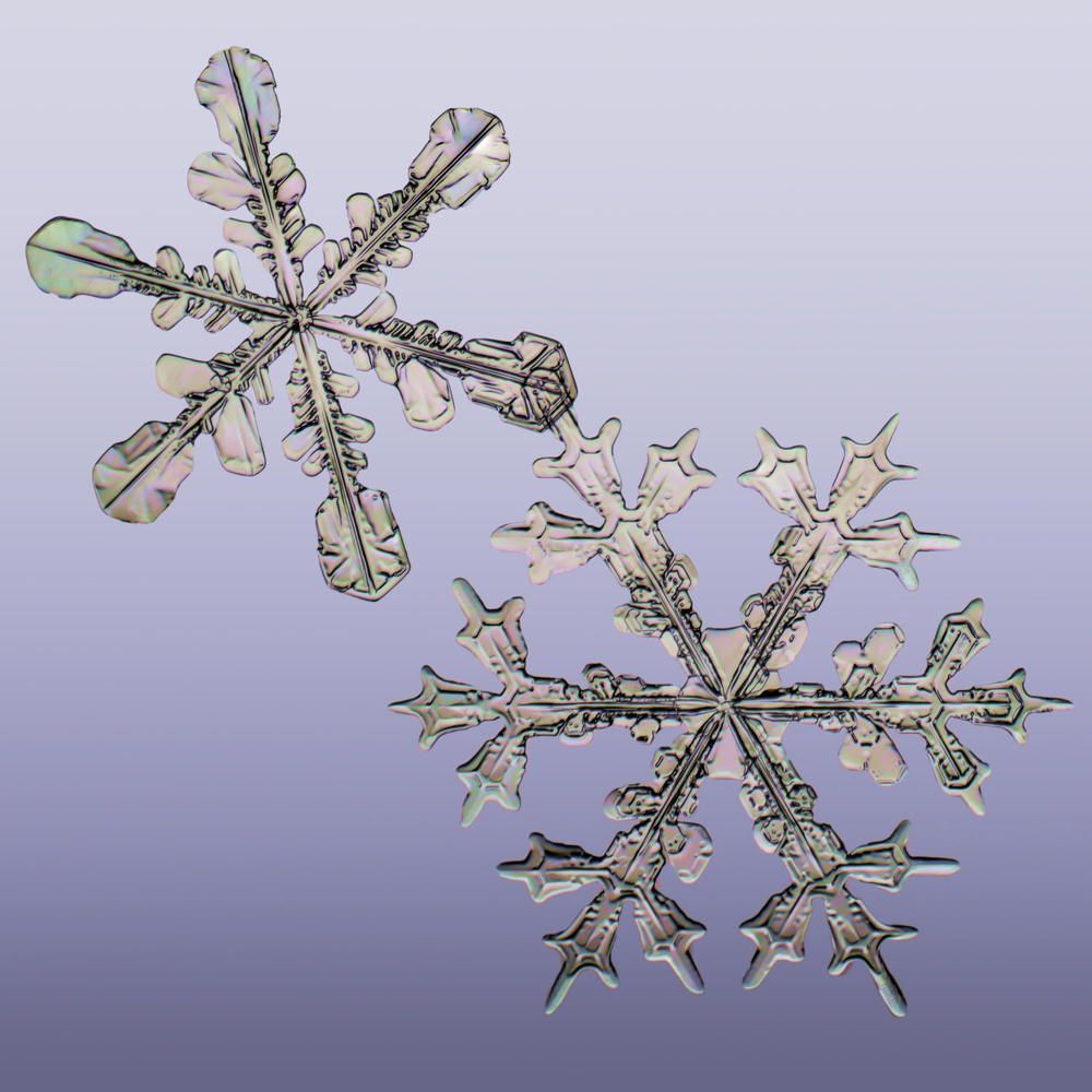 Photograph by Тимофей Черепанов