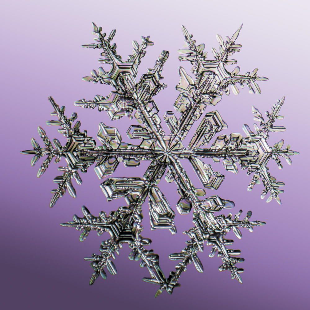 Photograph by Тимофей Черепанов