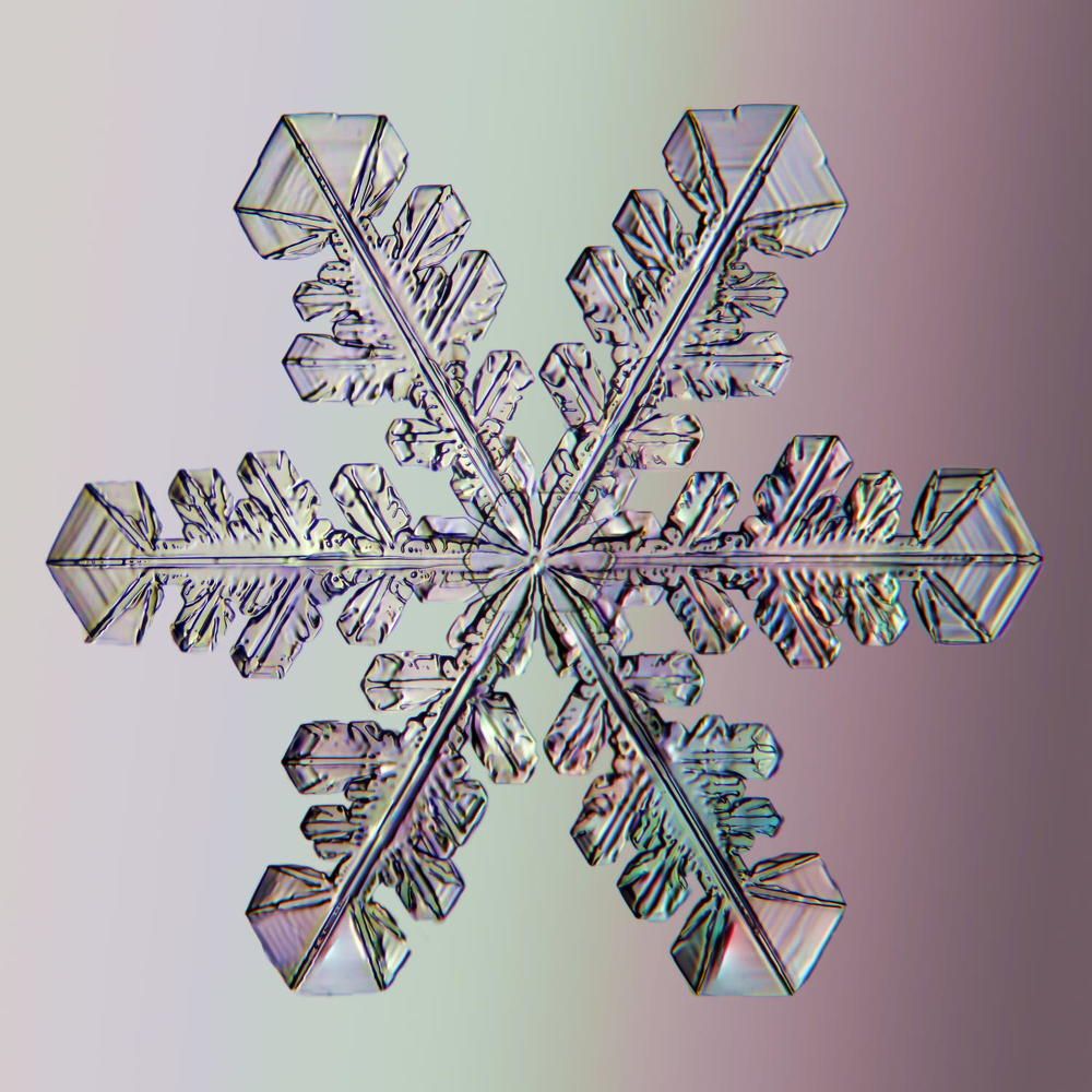 Photograph by Тимофей Черепанов