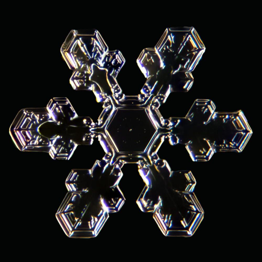 Photograph by Тимофей Черепанов