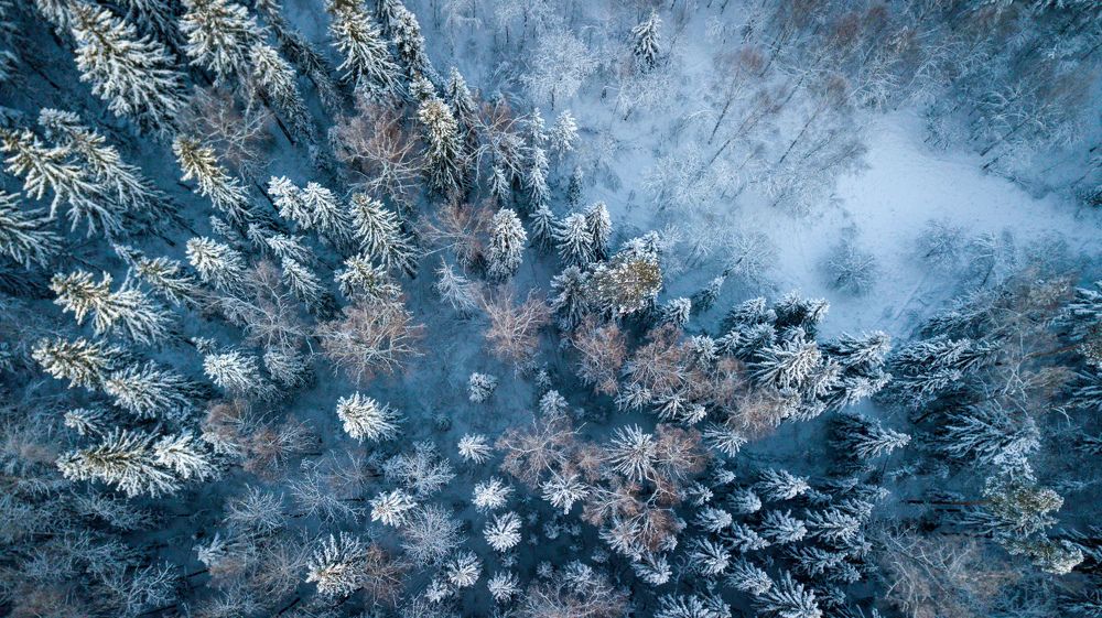 Photograph by Сергей Фаренюк