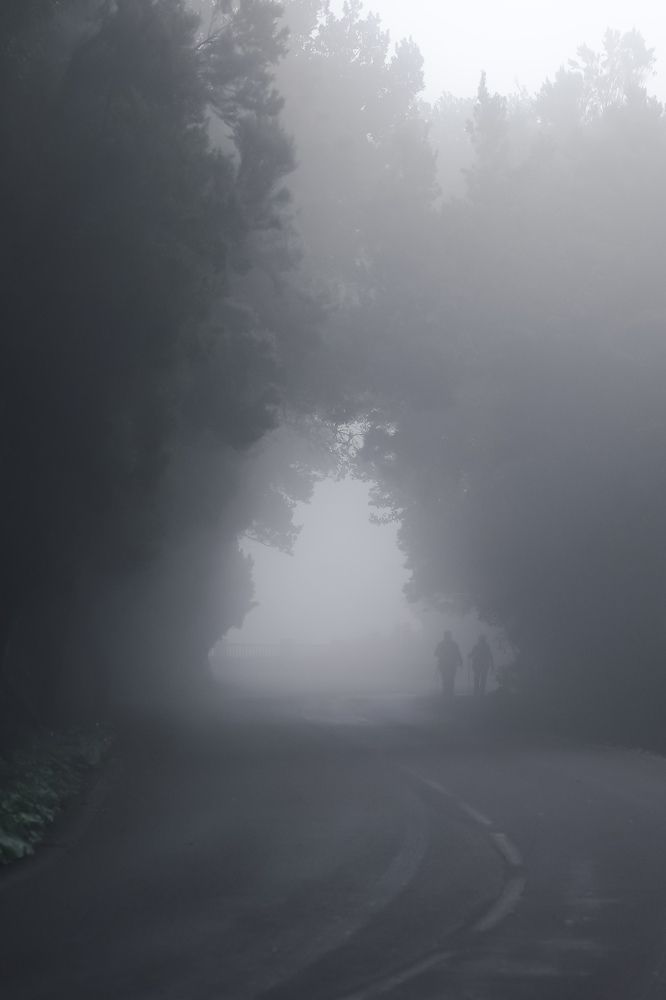 Photograph by Victoria