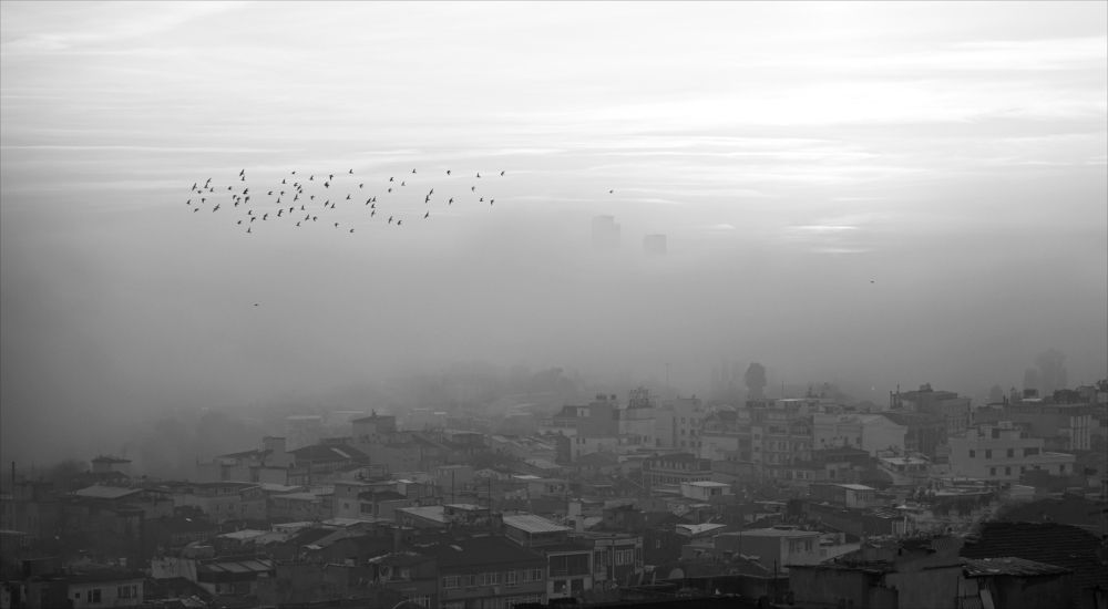 Photograph by David Pipia