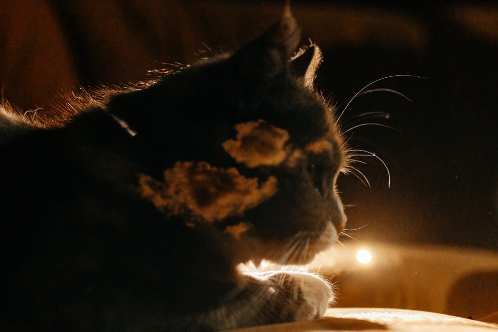 Фотография автора Воробьёв Андрей