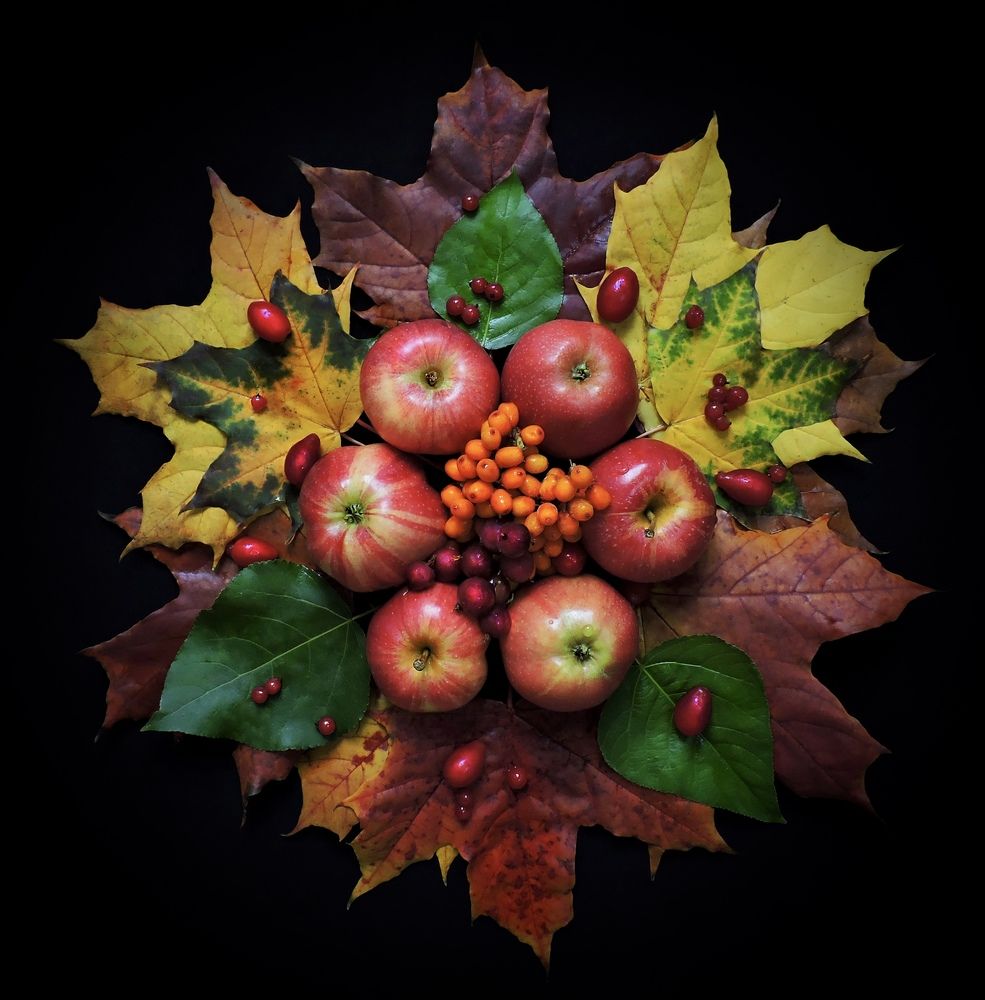 Photograph by Светлана Богомолова