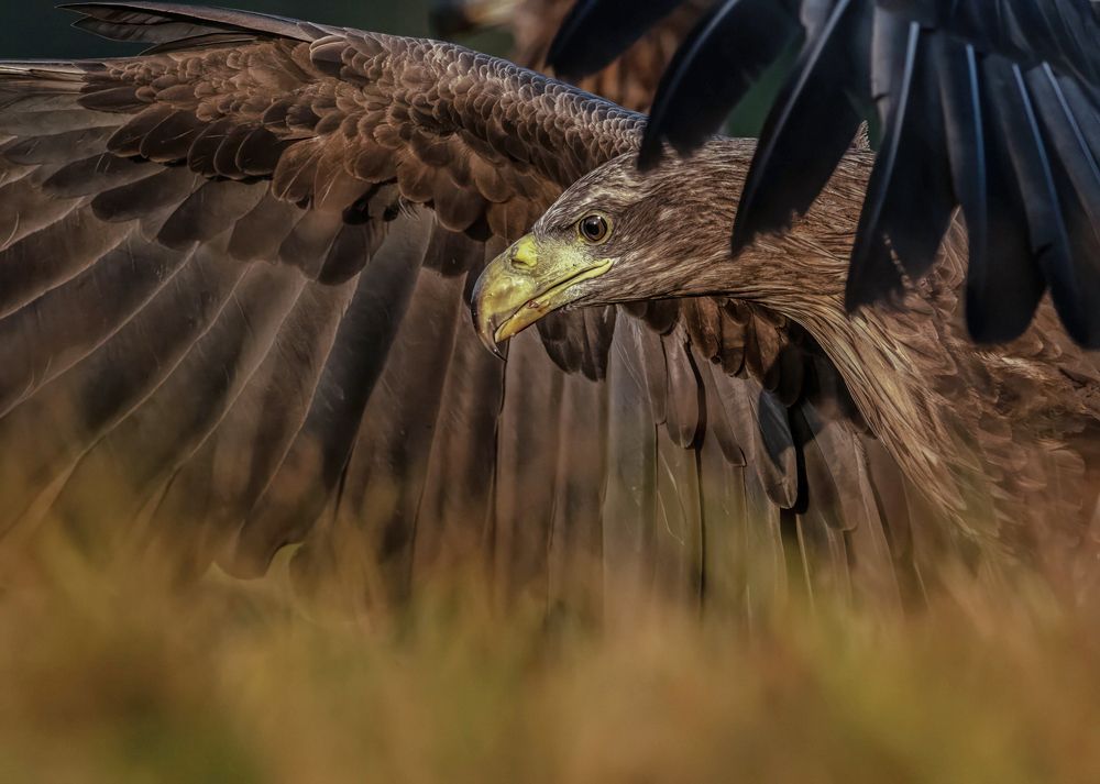 Photograph by Ernestas Balcikonis