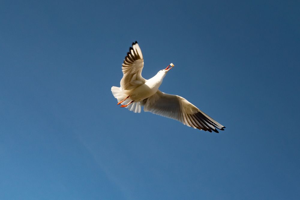 Photograph by Всеволод