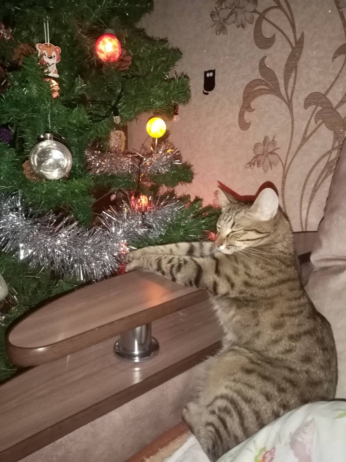Photo #8965787