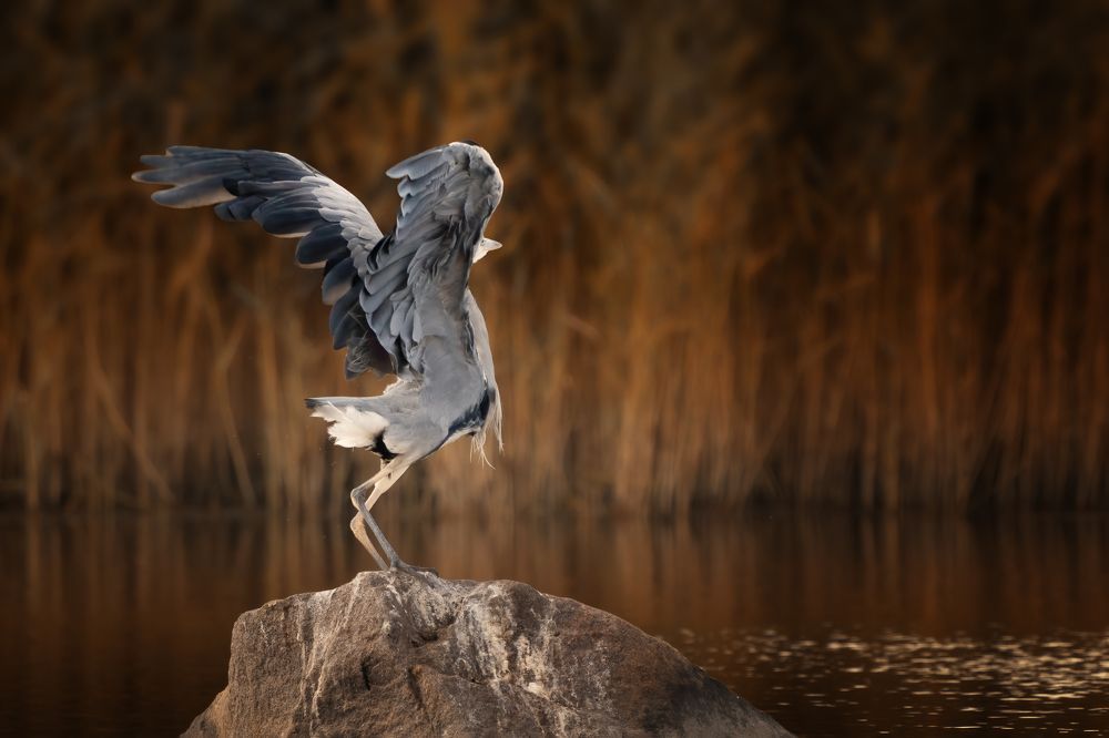 Photograph by Larianna Holm