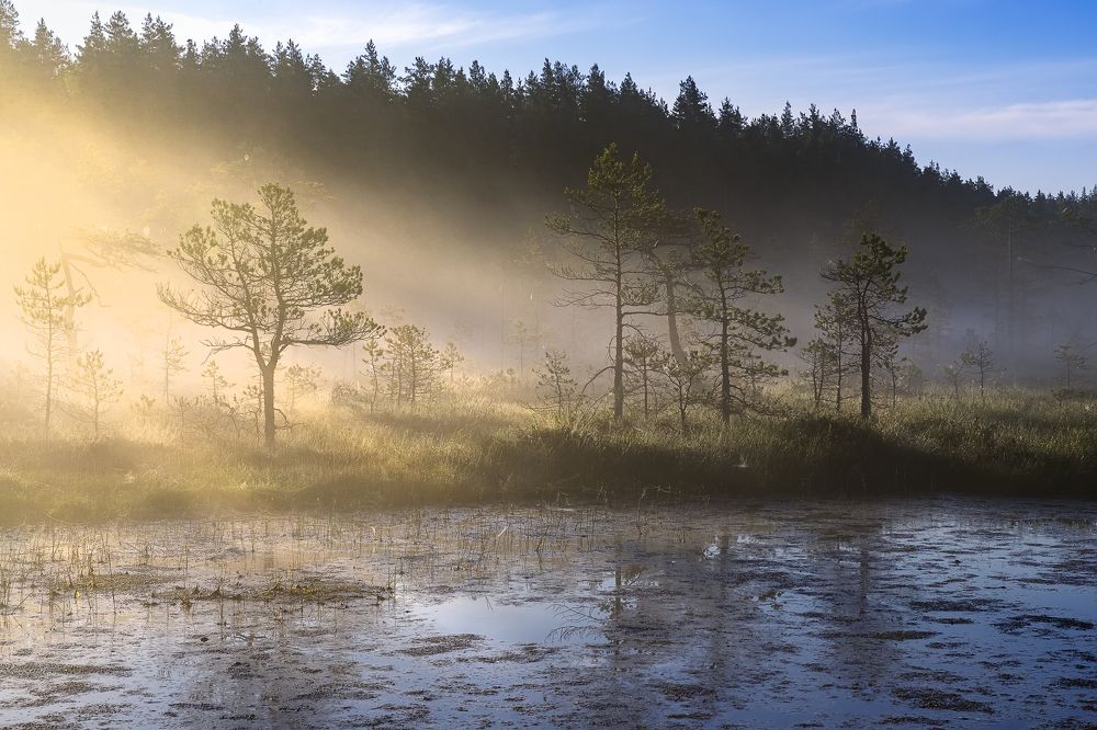 Photograph by Ярослав Лукьянов