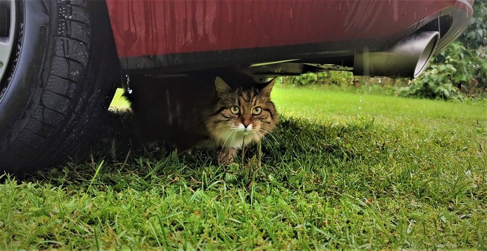 Photograph by Tuure Äikäs