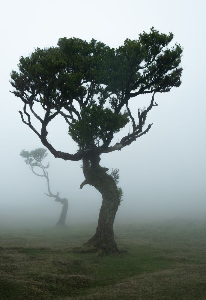 Photograph by Мария Григорьева