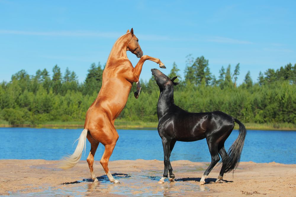 Photograph by Екатерина Михайлова