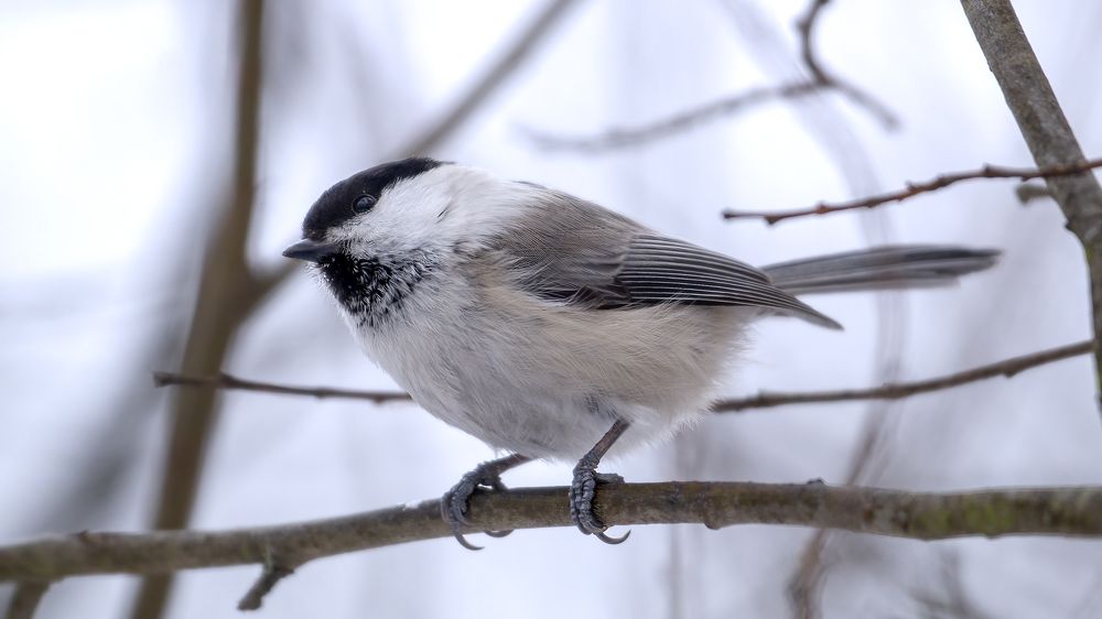 Photograph by Соловьев Александр