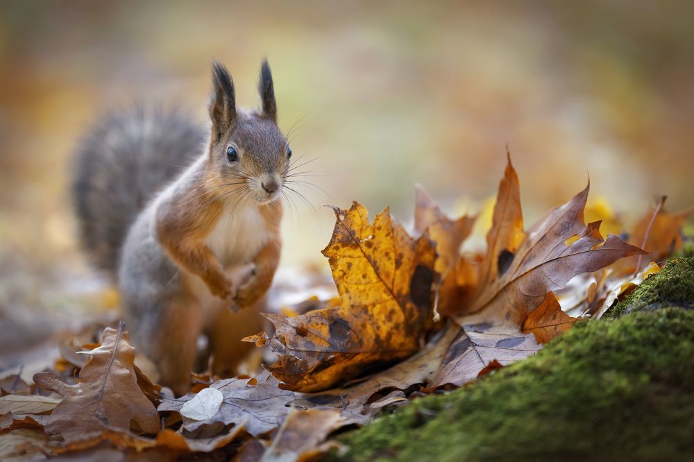 Photograph by Larianna Holm