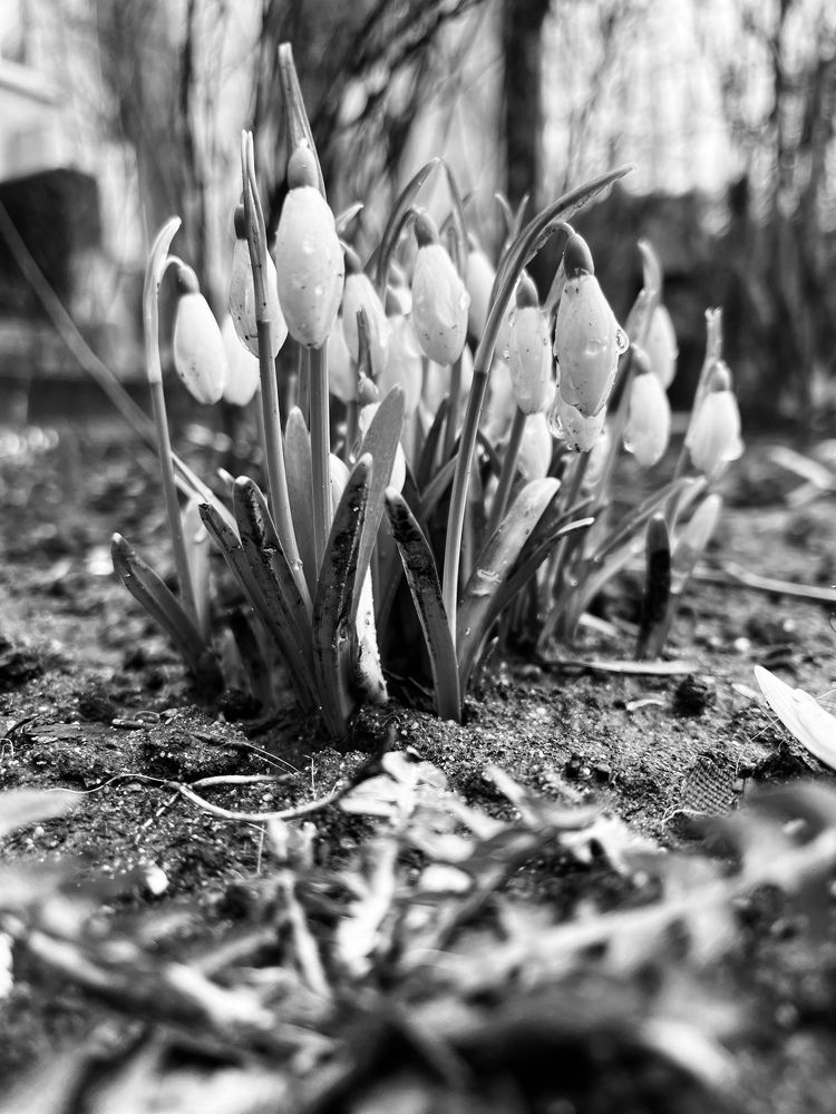 Photograph by Marina kosenko