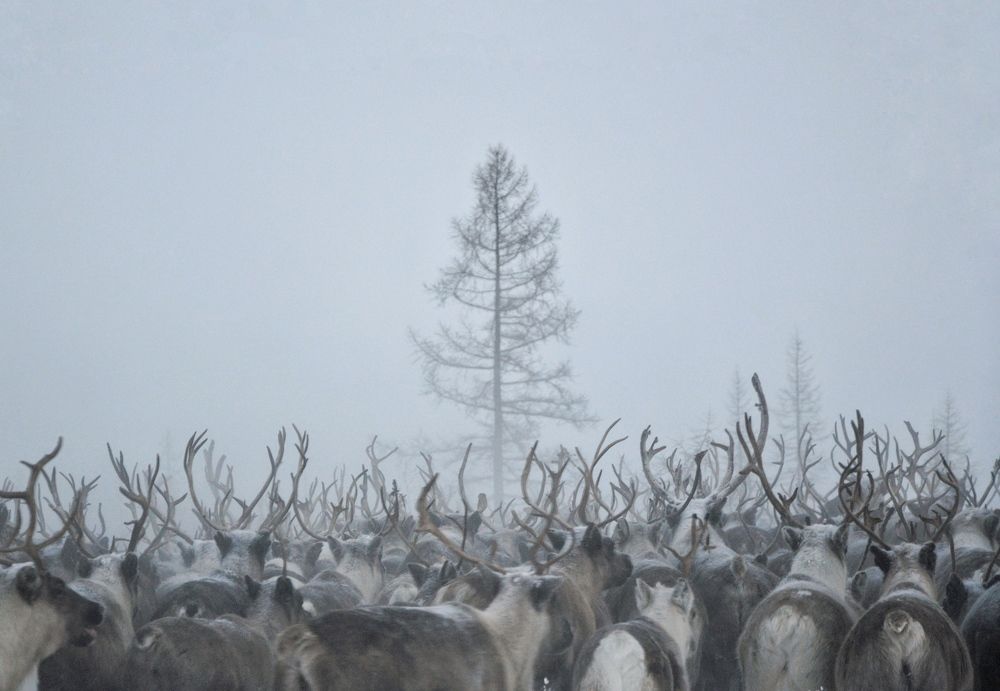 Photograph by Диана Куйбина