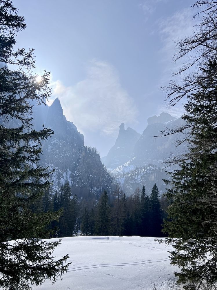 Photograph by Veronika Trubnikova