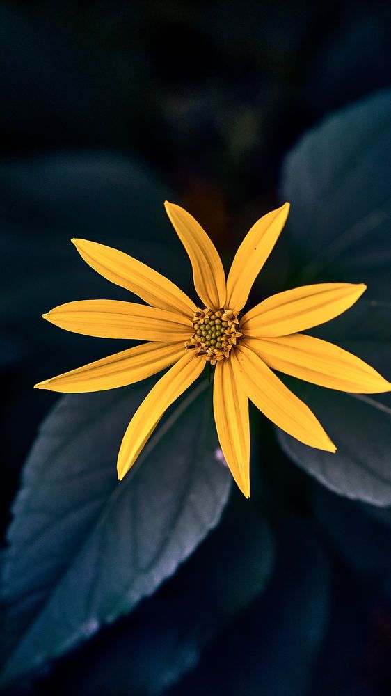 Photograph by Евгений Имамутдинов