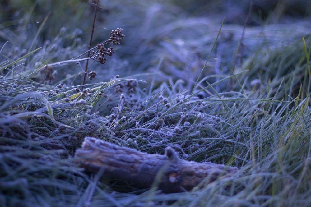 Photograph by Ирина Рыжова