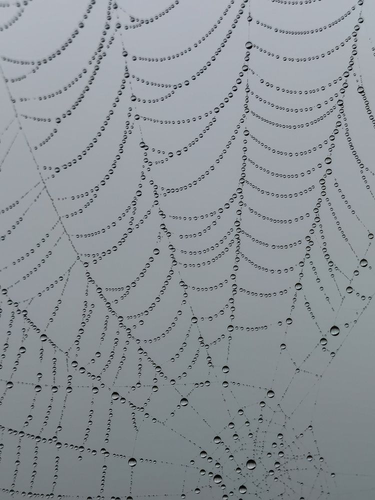 Photograph by Bojana Vein