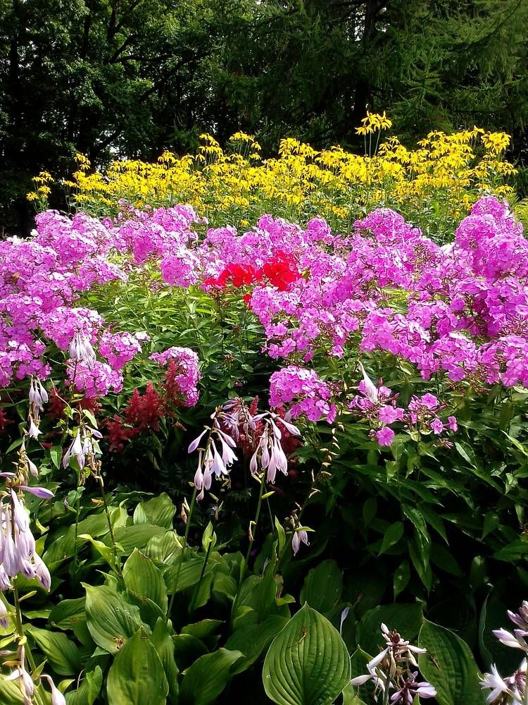 Photograph by Ольга Коркина