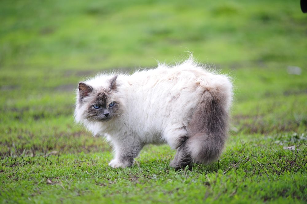 Фотография автора Дмитрий Старостин