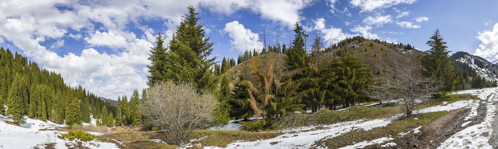 Фотография автора Владимир Пронин