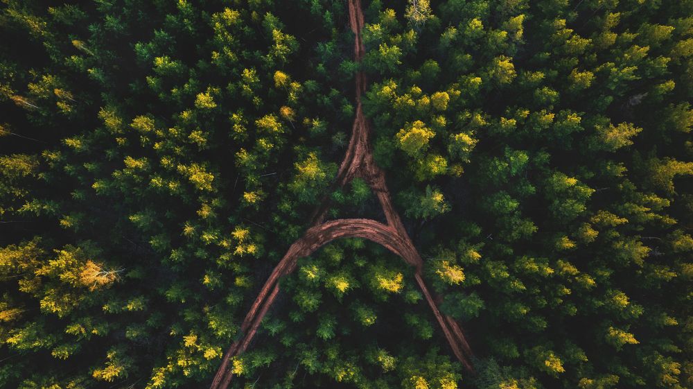 Photograph by Андрей Чураев