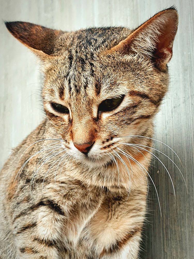 Photograph by RICHARD BRIONES