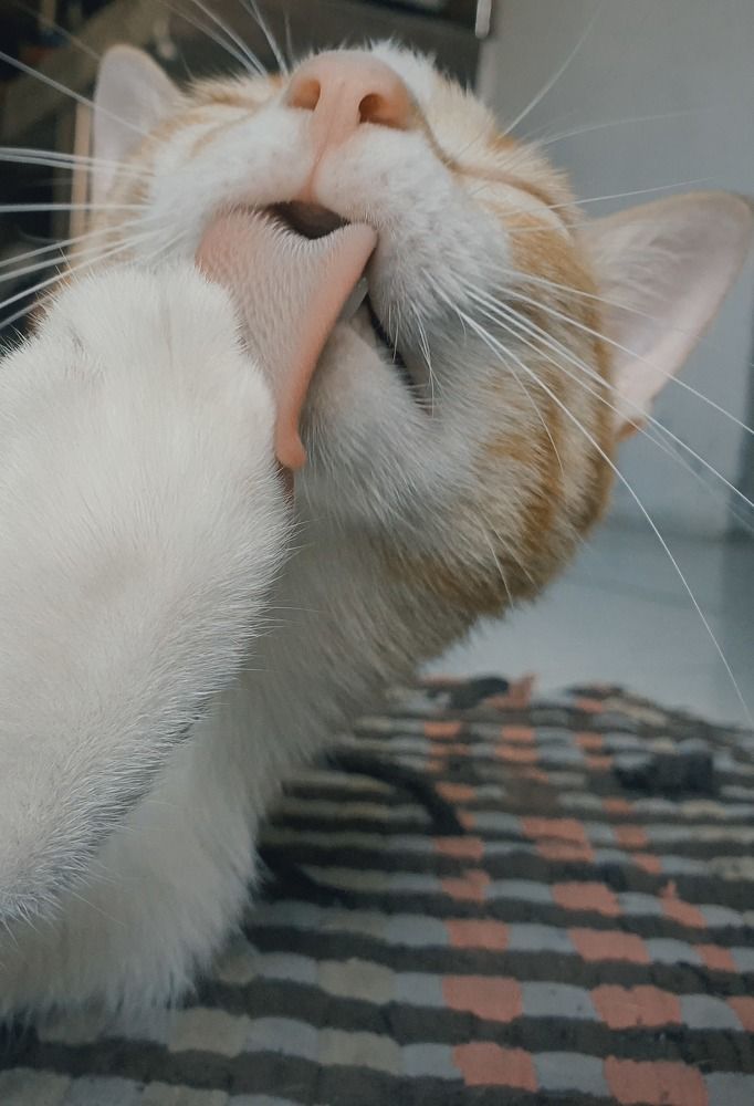 Photograph by RICHARD BRIONES