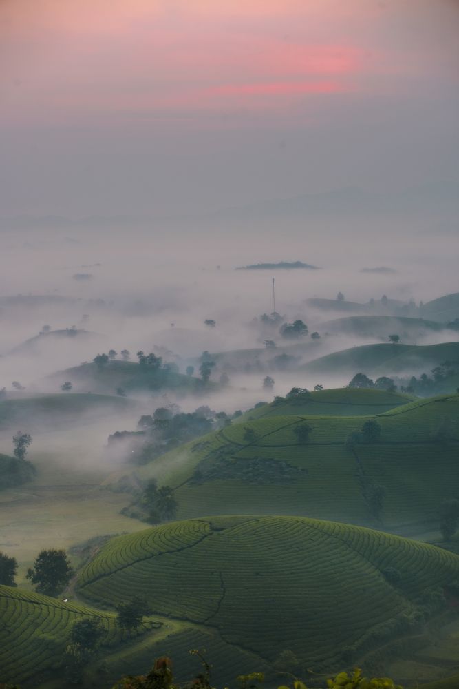 Photograph by Trần Anh Tuấn