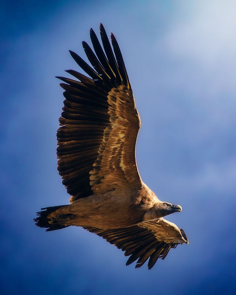 Photograph by Sergio Orellana