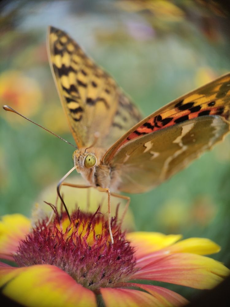 Photograph by Дина Горбачёва