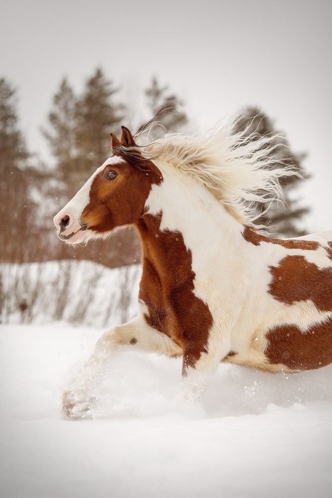 Photograph by Ольга Косова