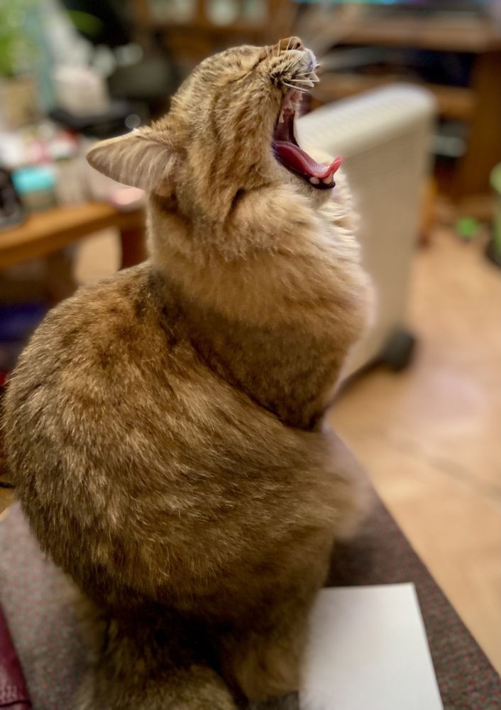 Photograph by Анна Петрова