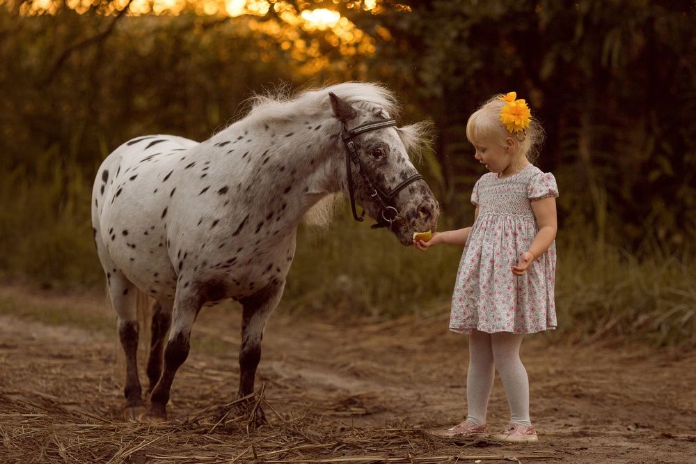 Влада и Селтик