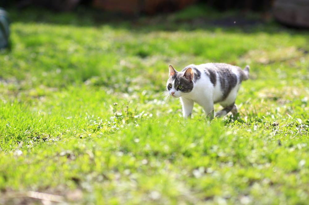Фотография автора Дмитрий Старостин