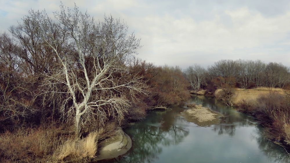 Photograph by Геннадий Натье (Игнатьев)